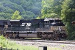 NS 7295